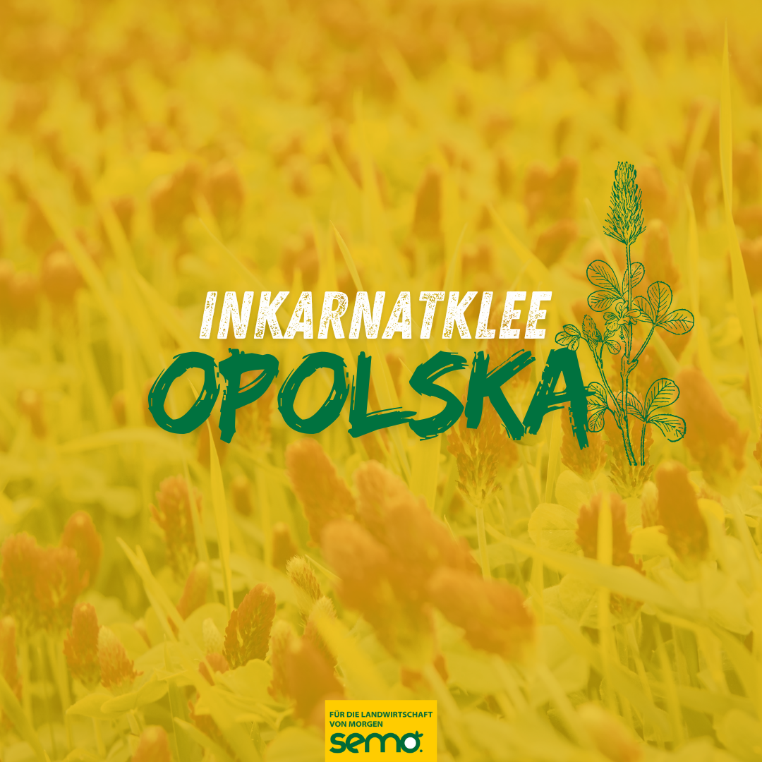 IKL Opolska Öko (25 kg)