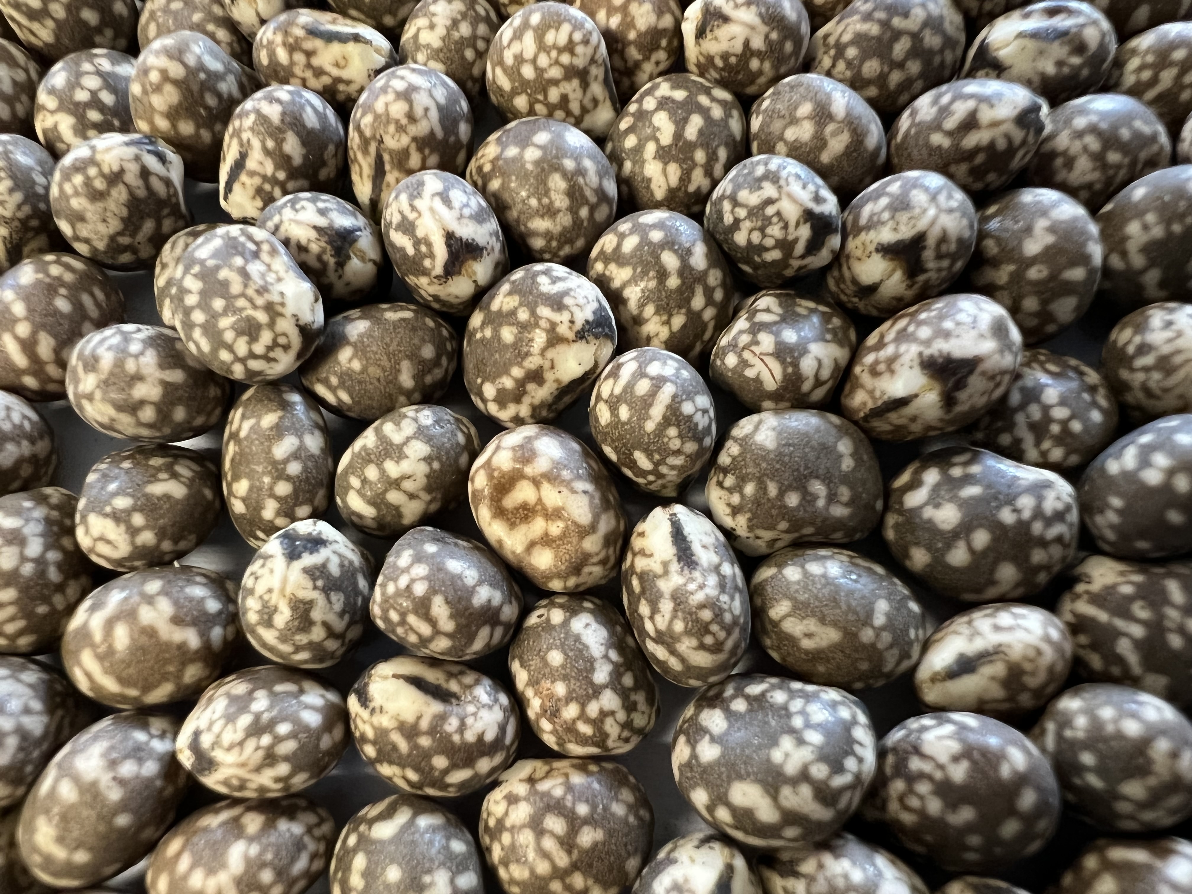 LUB Karo öko (25 kg)