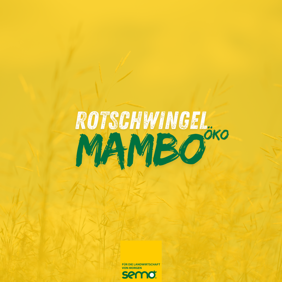 ROT Mambo (Rt) Öko (10 kg)