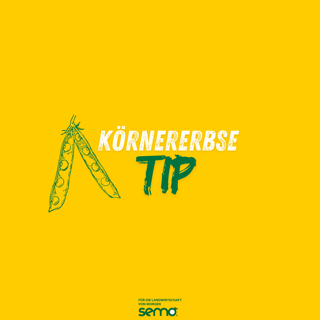 EFK TIP Öko (25 kg)