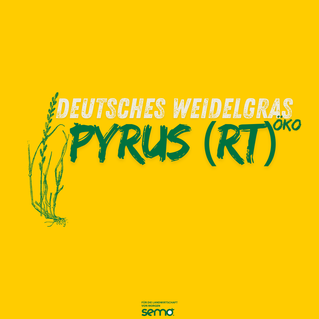 WD Pyrus (Rt) Öko (20 kg)