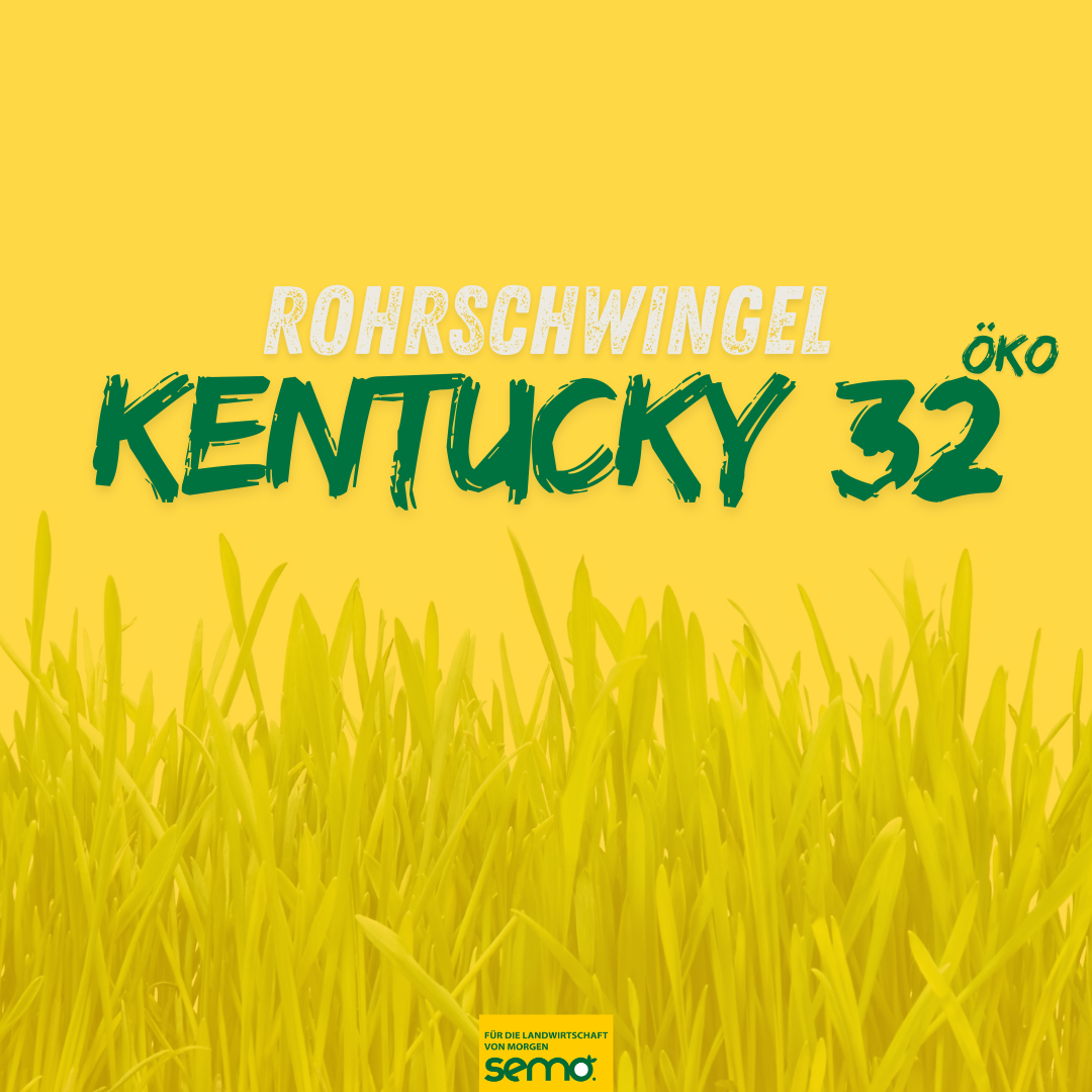RSC Kentucky 32 Öko (20 kg)