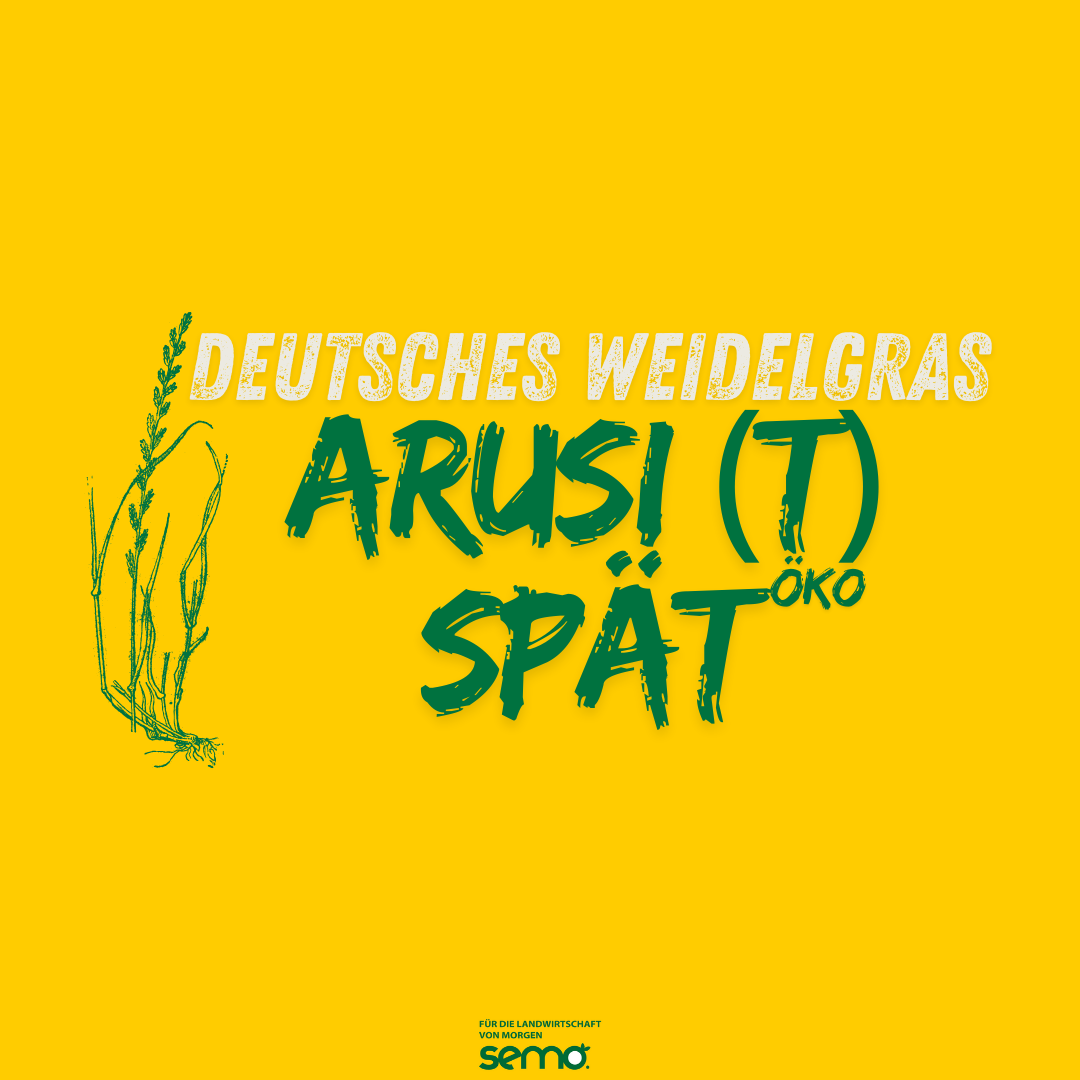 WD Arusi (t) spät Öko (25kg)