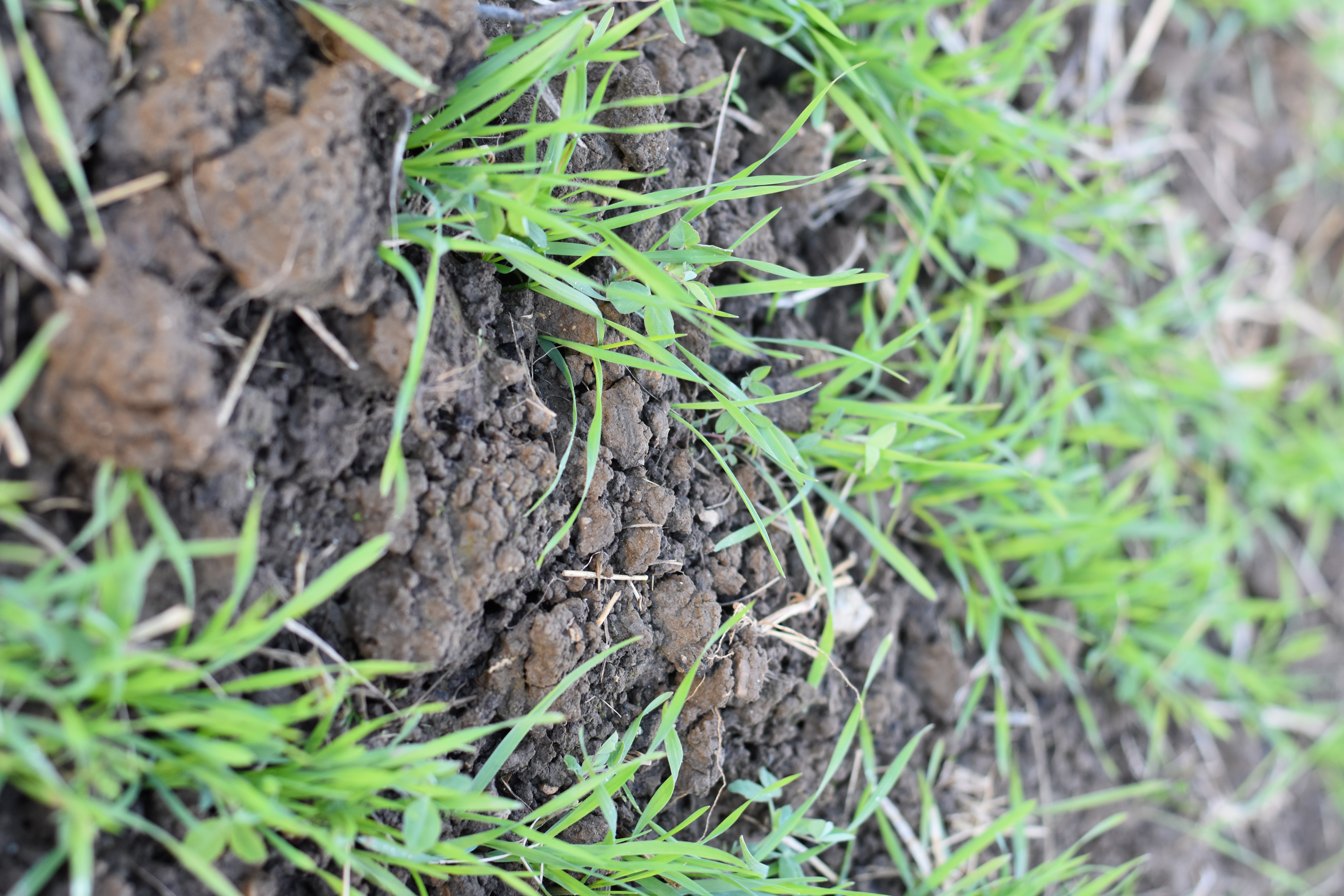 semopur 2.8 WINTER GPS öko (20 kg)