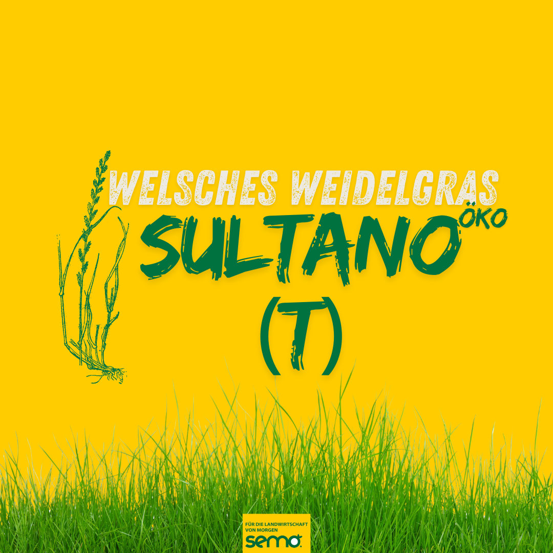 WV Sultano (t) Öko 25kg