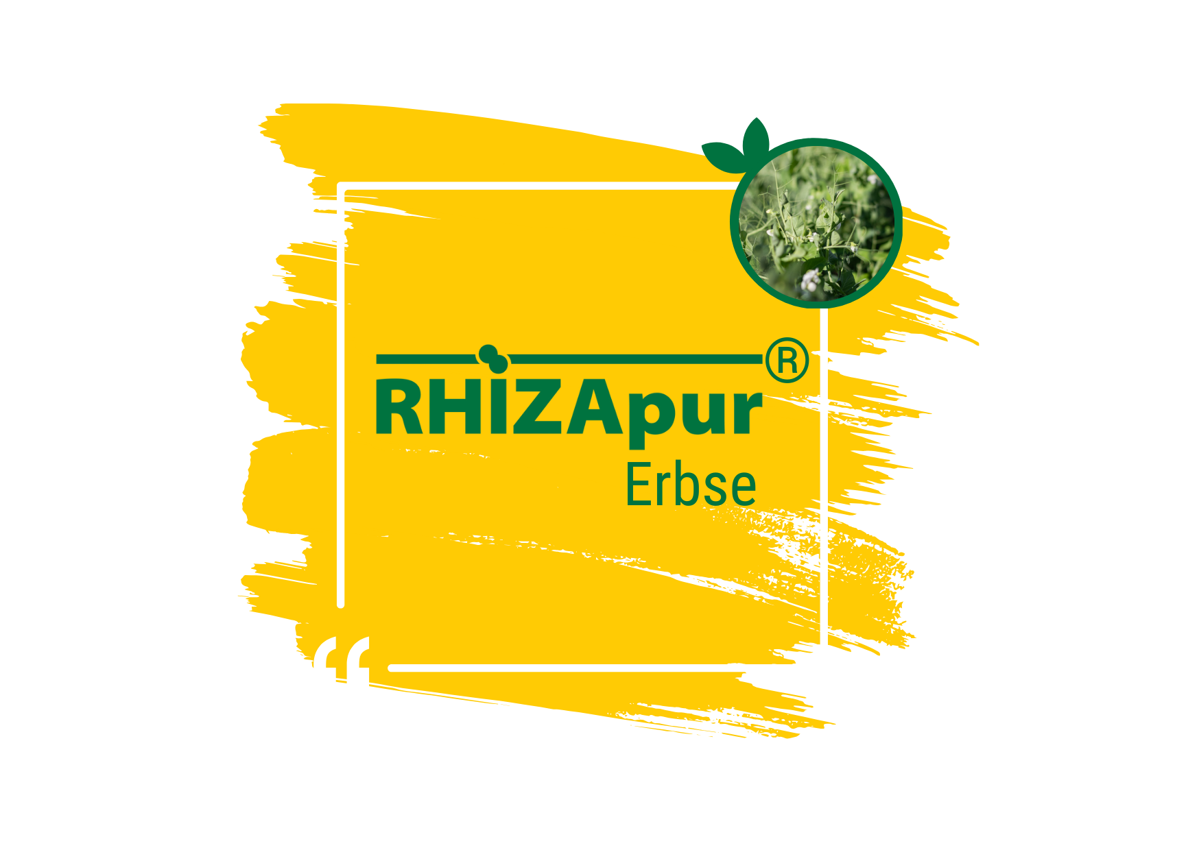 RHIZApur ® Erbse 500 ml (für 100 kg)