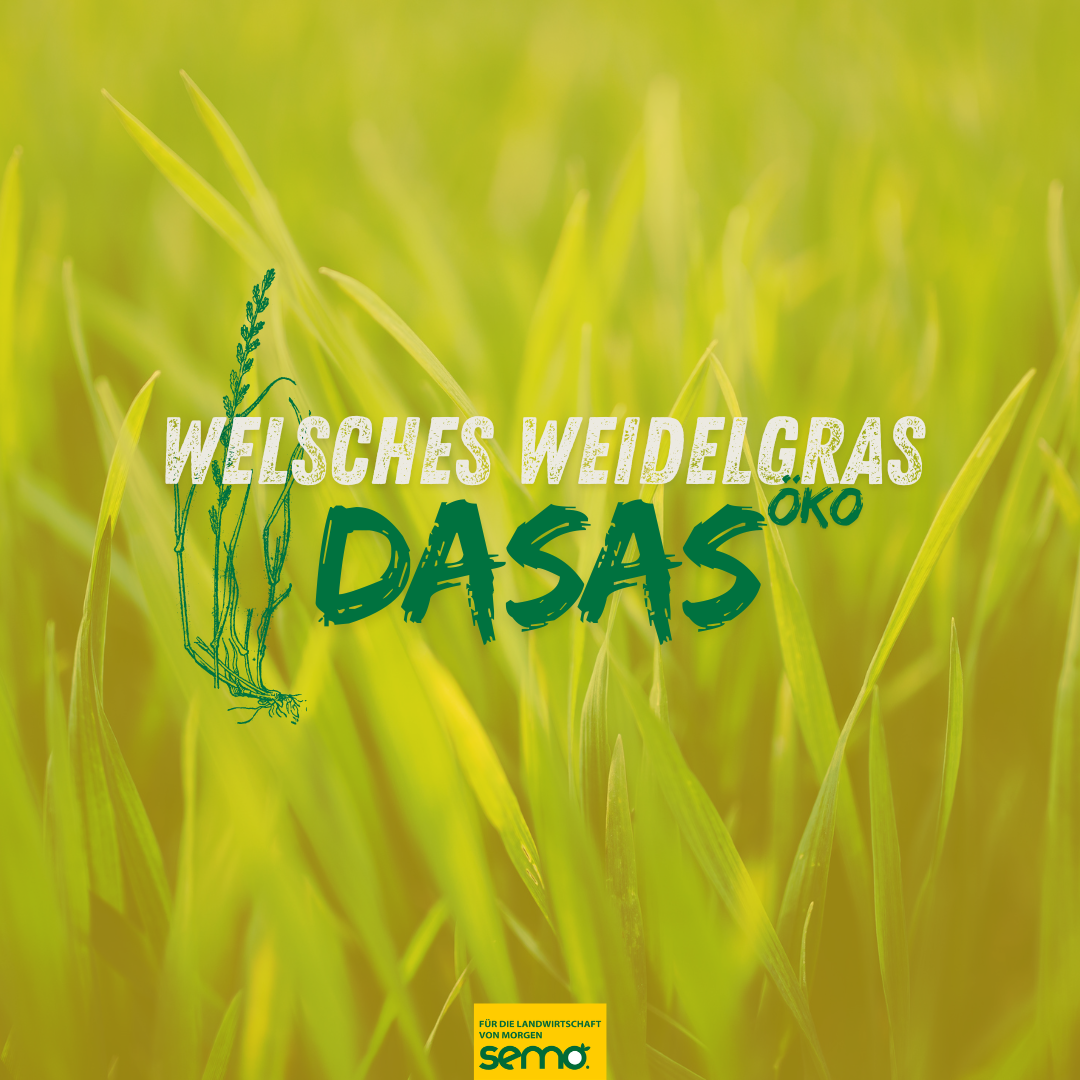 WV EF 486 Dasas Öko (25 kg)