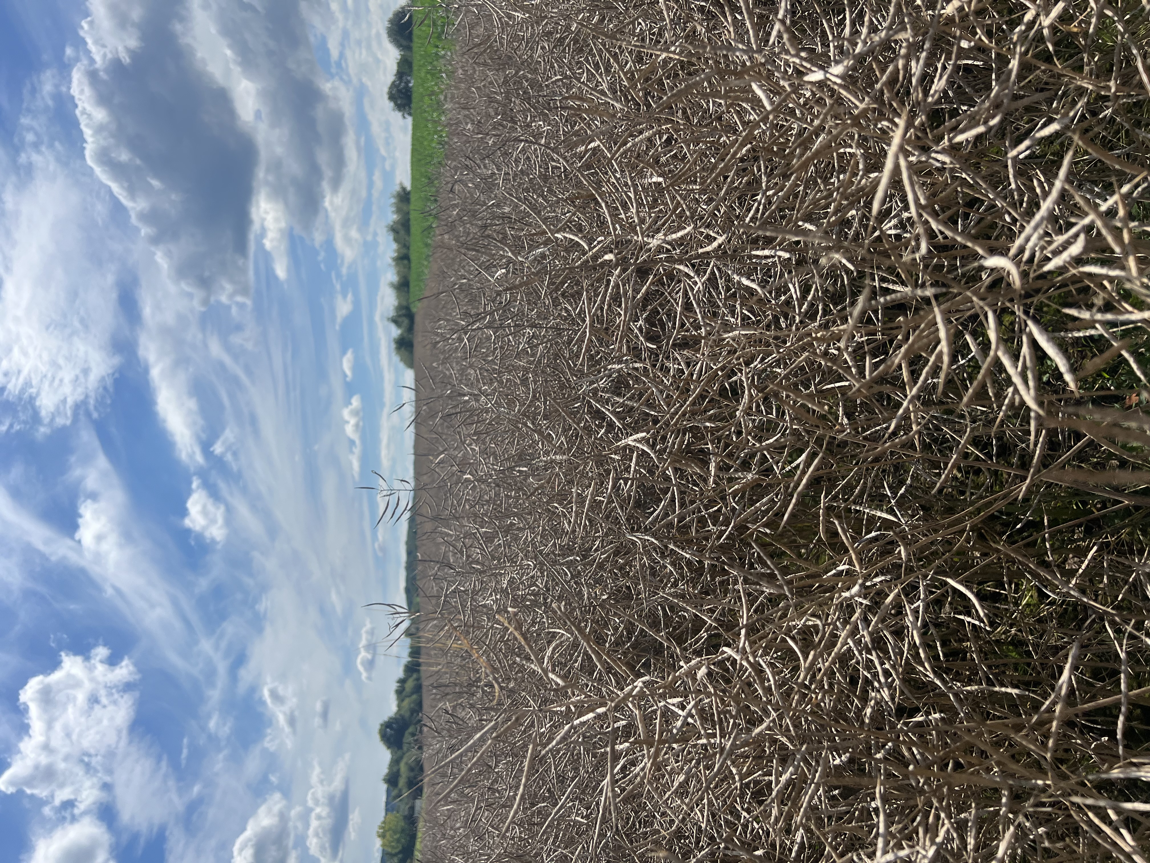 SF Seco Öko (25 kg) SF Seco Öko (25 kg)