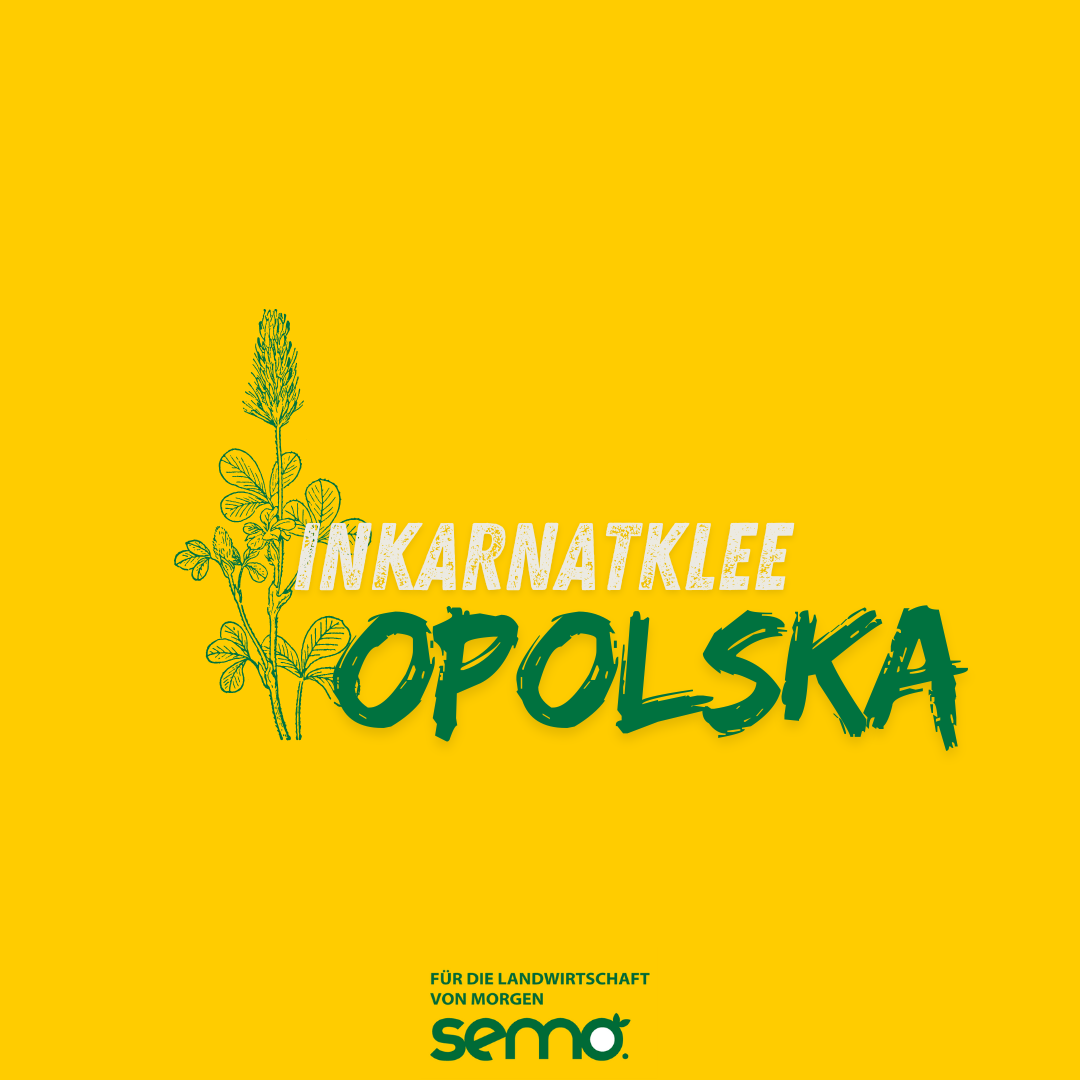 IKL Opolska Öko (25 kg)