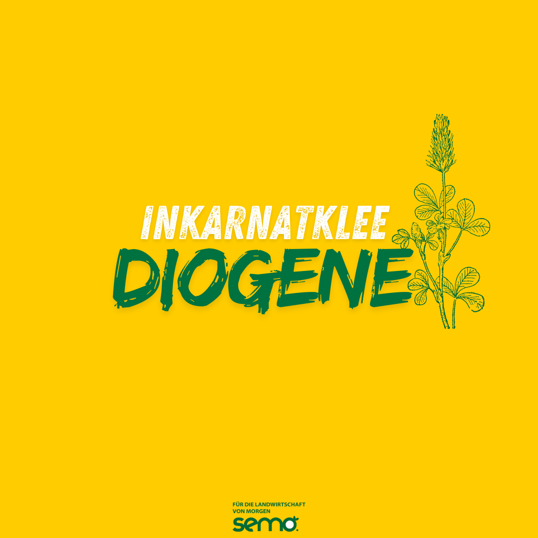IKL Diogene Öko (25 kg)