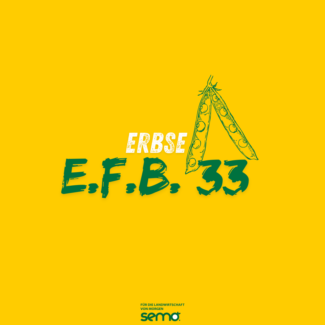 EF E.F.B. 33 Öko (w) (25kg)