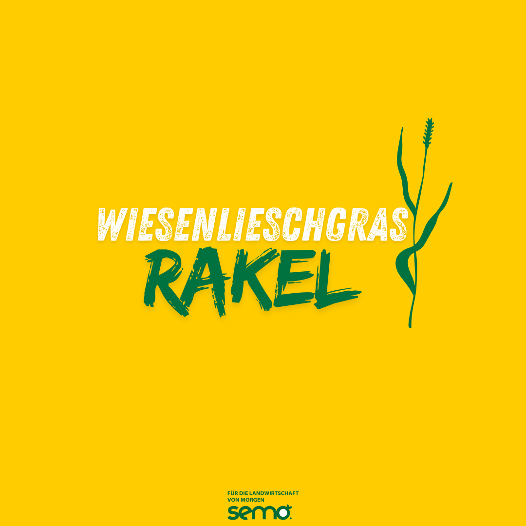 WL Rakel Öko (20 kg)