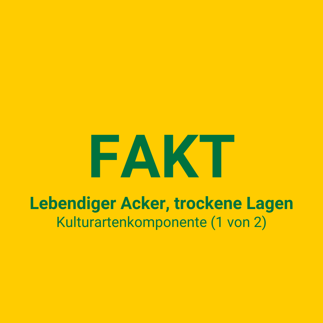 FAKT II E8, Leb.Acker tr. Öko (6 kg)