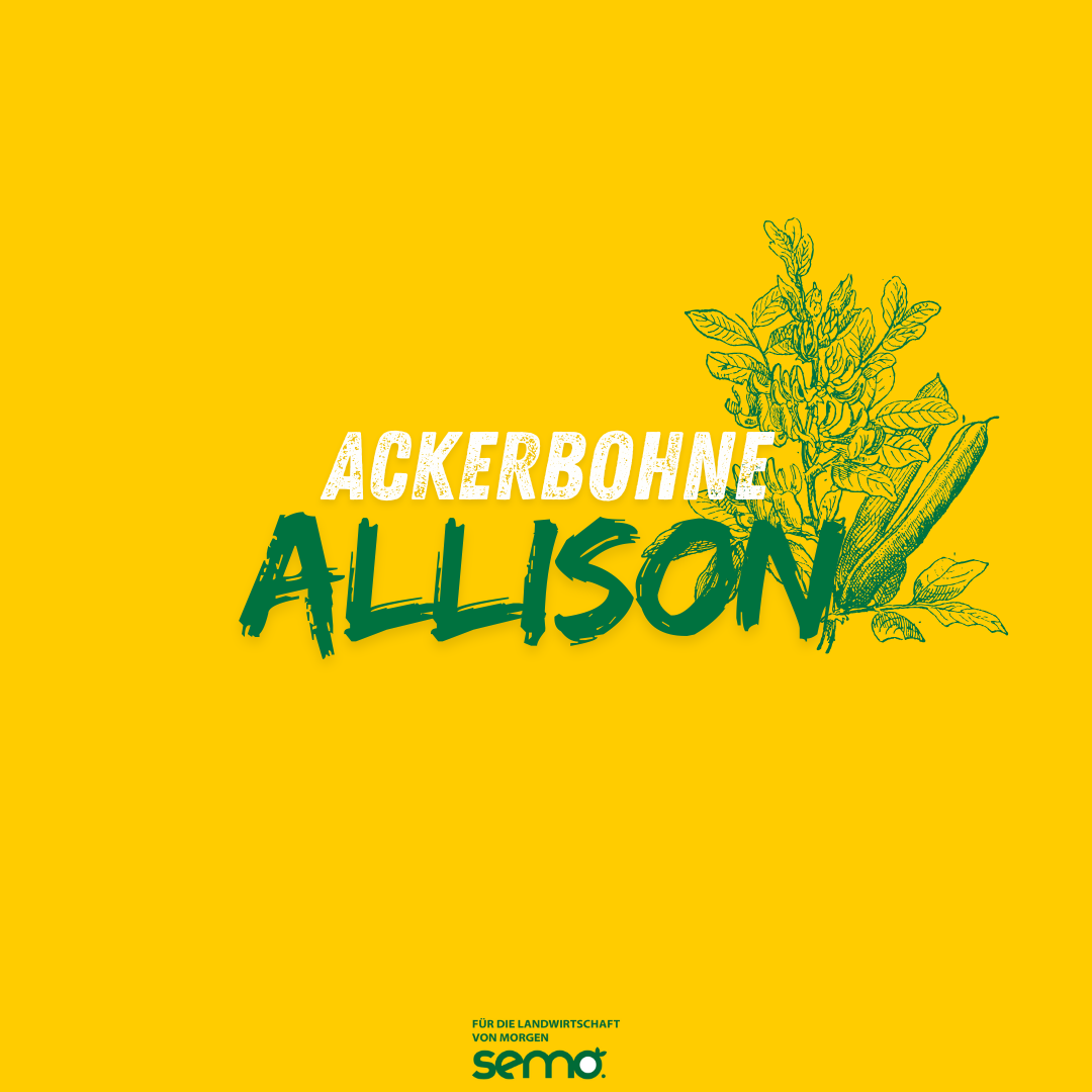 BA Allison Öko vicin-/convicinarm (25 kg)