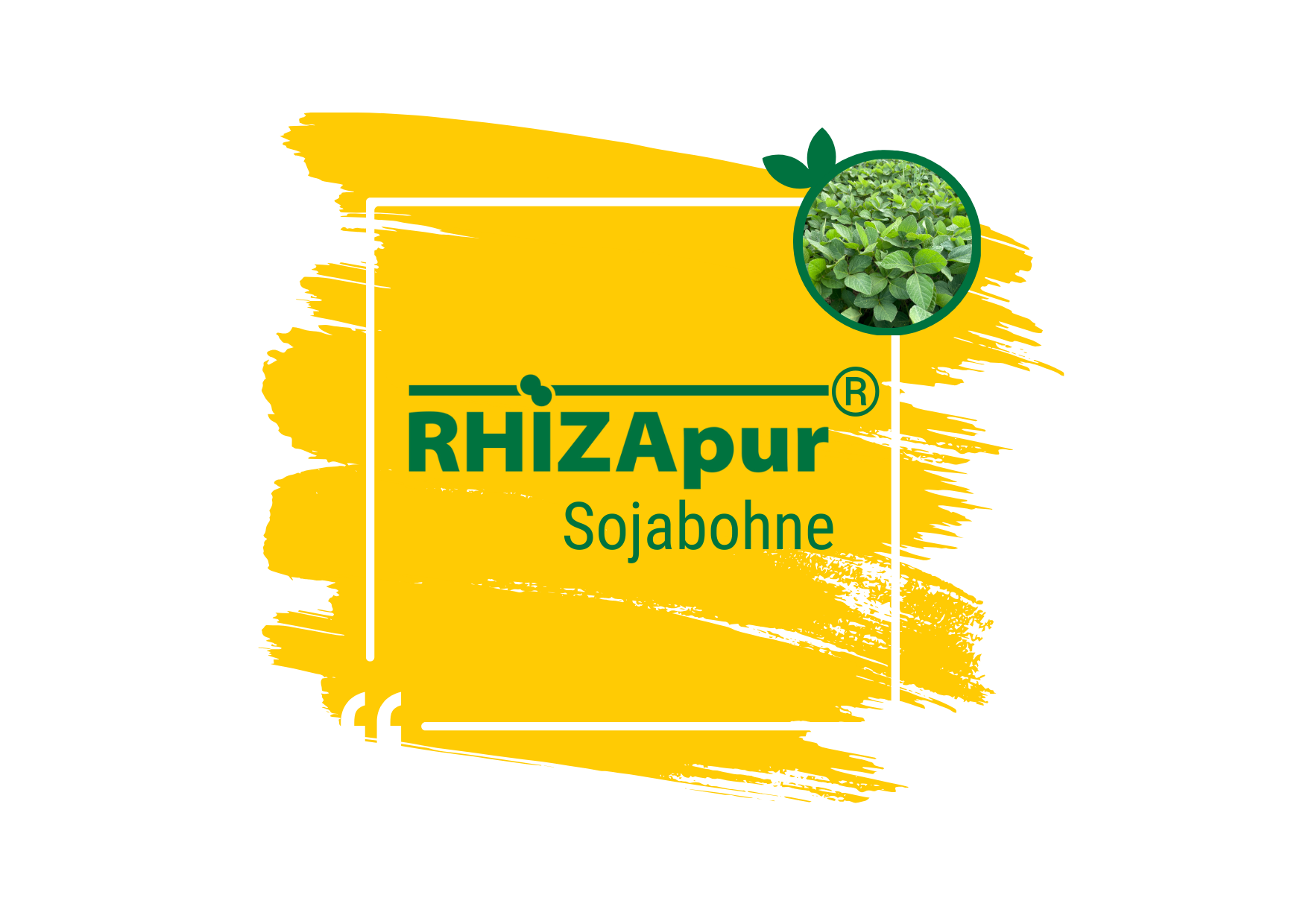 RHIZApur ® Soja 500 ml (für 100 kg)