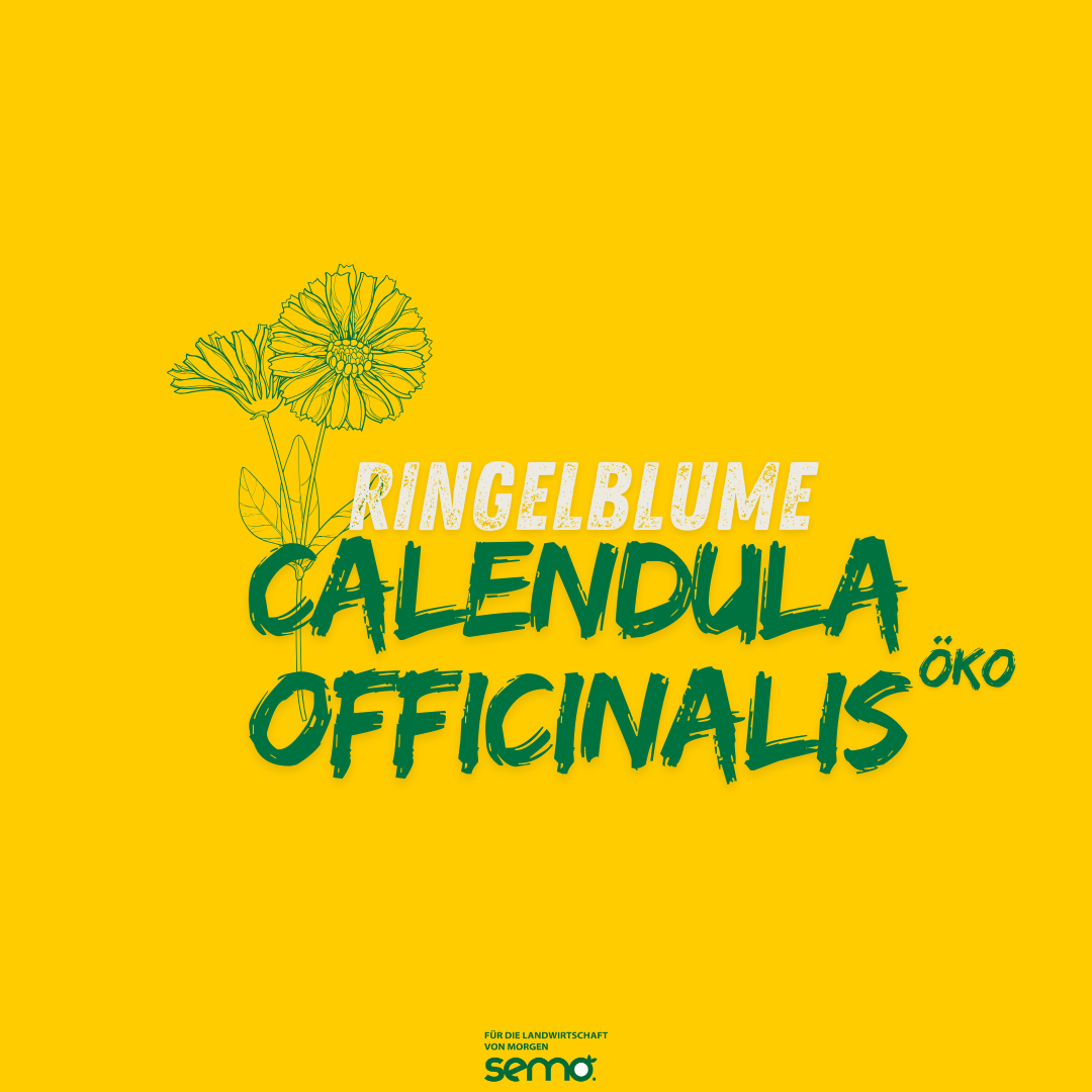 Ringelblume Calendula officinalis Öko (5kg)