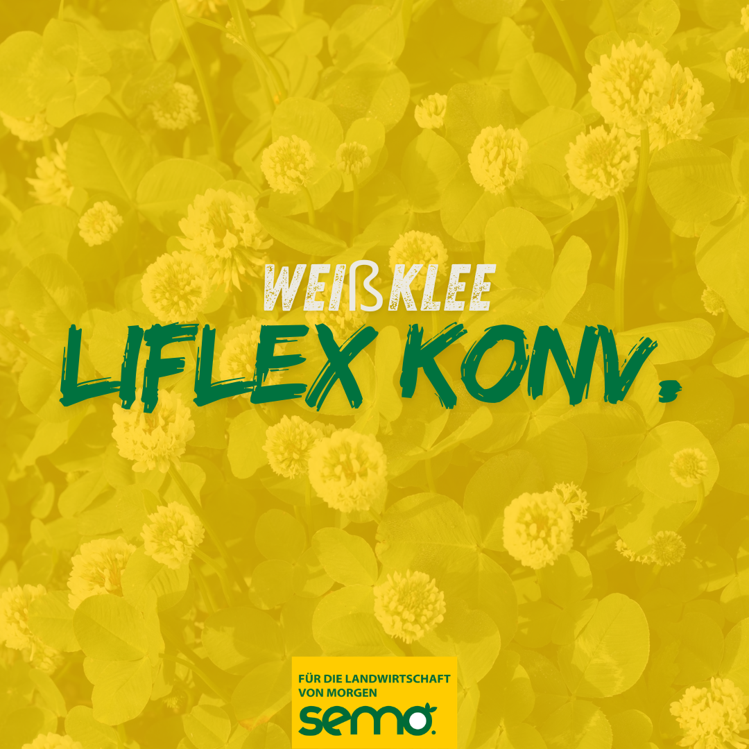 WKL Liflex konv. ungebeizt (20 kg)