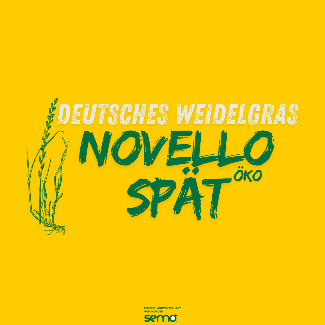 WD Novello spät Öko (25 kg)