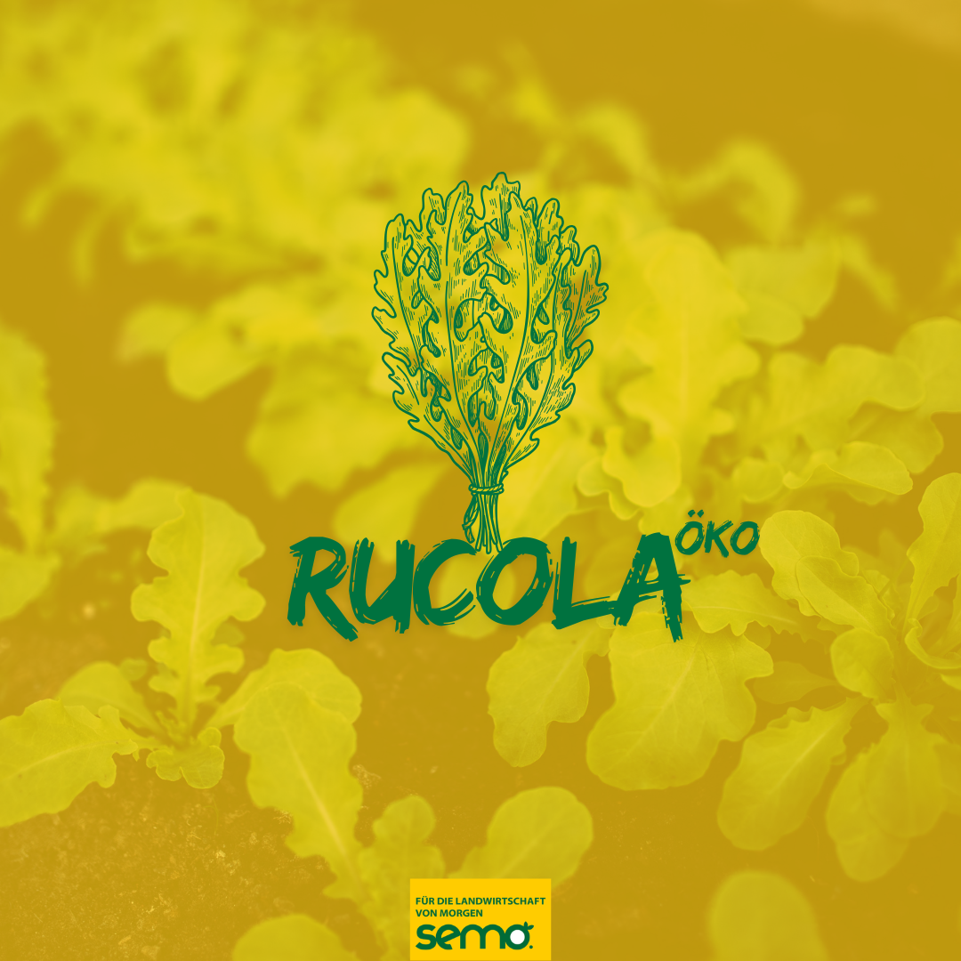 Rucola  Öko