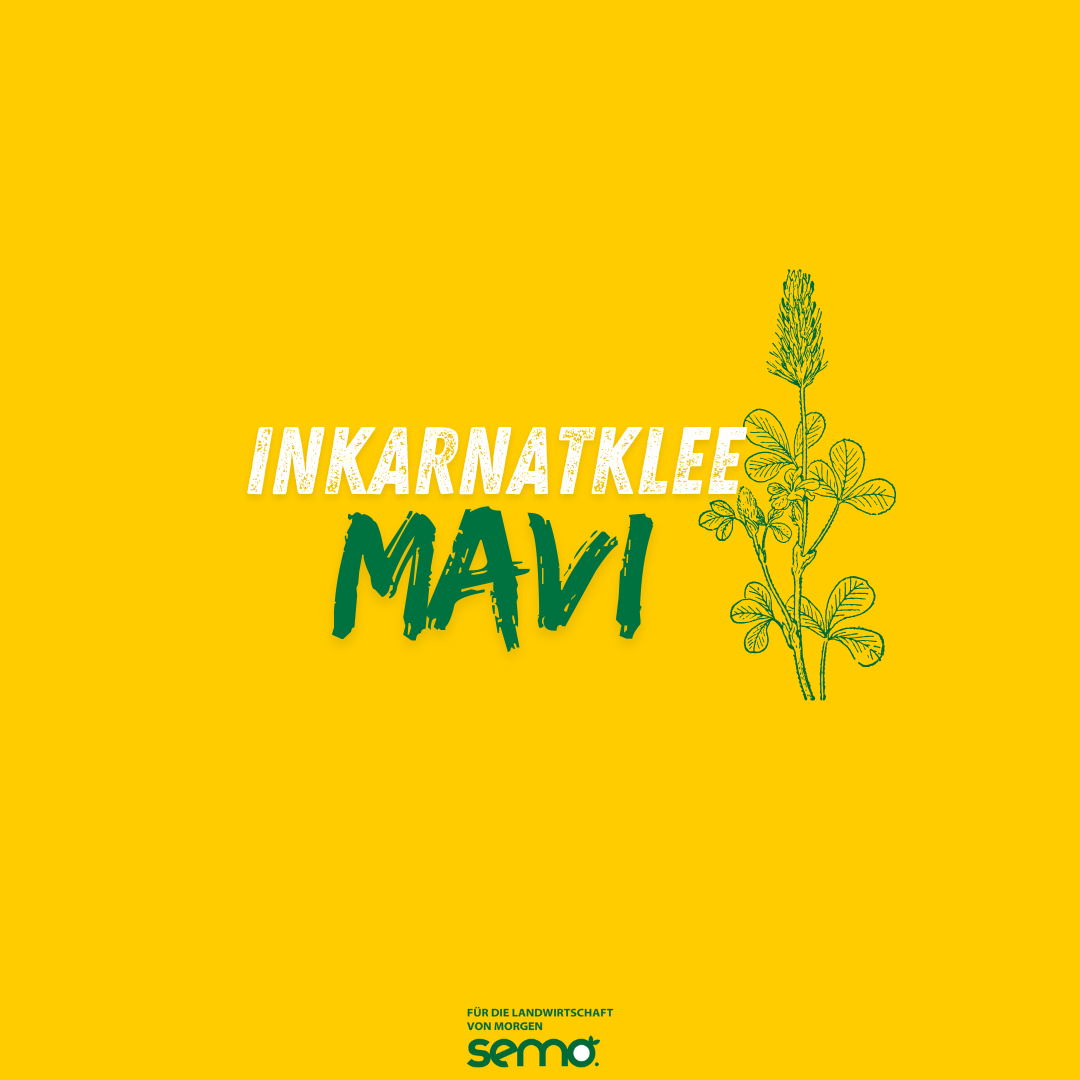 IKL Mavi Öko (25 kg)
