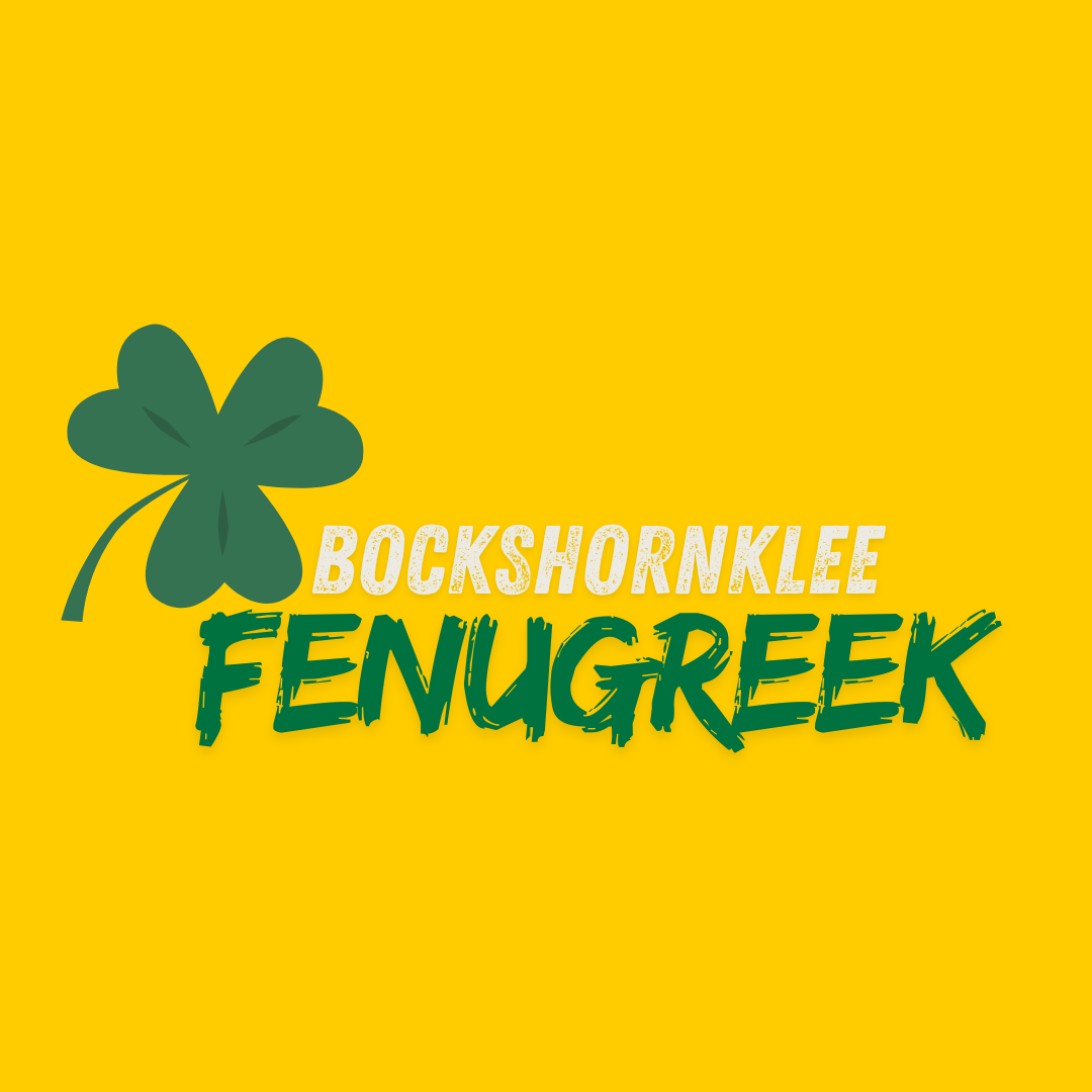 Bockshornklee Fenugreek Öko (25kg) Bockshornklee Fenugreek Öko (25kg)
