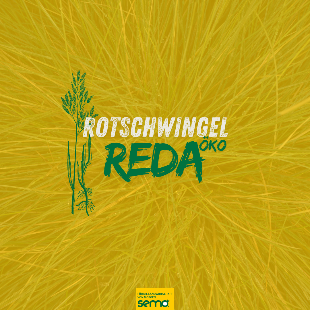 ROT Reda Öko (15 kg)