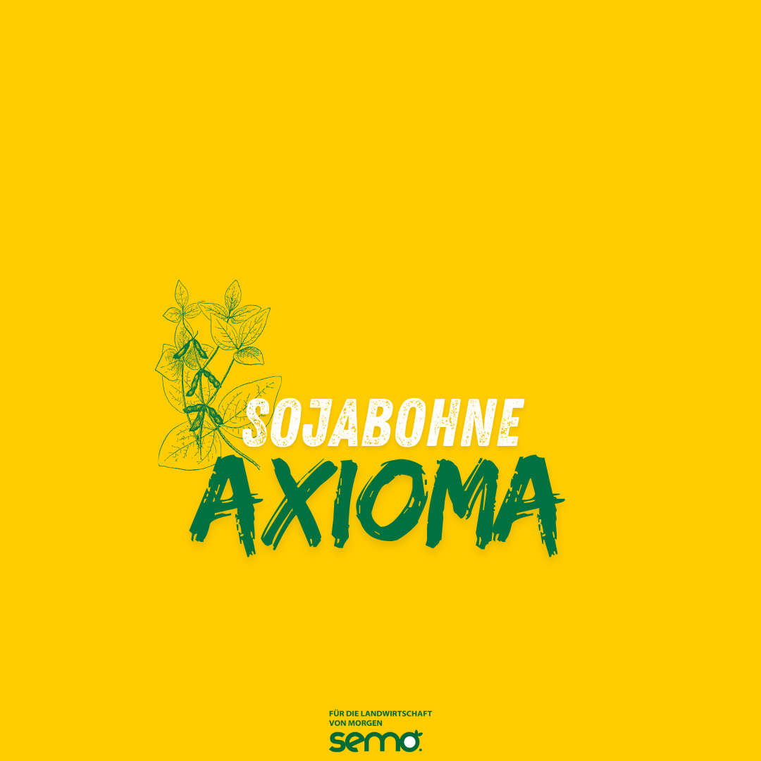 SJ Axioma 000 Öko (120TK)