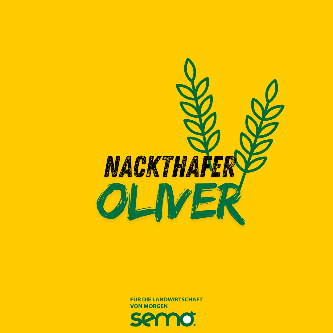 HA Nackthafer Oliver Öko (25 kg)