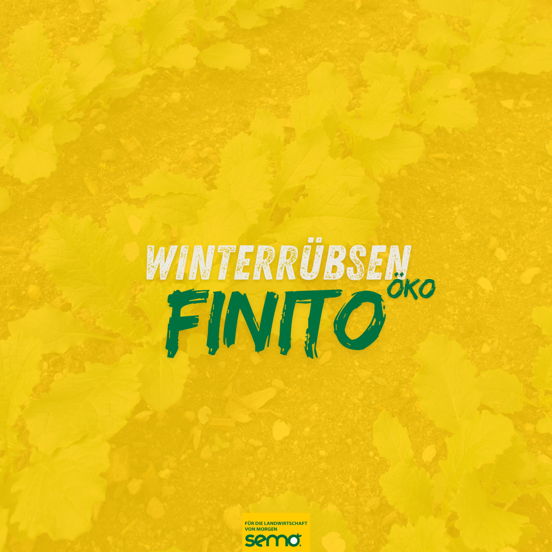 RUW Finito Öko (25 kg)