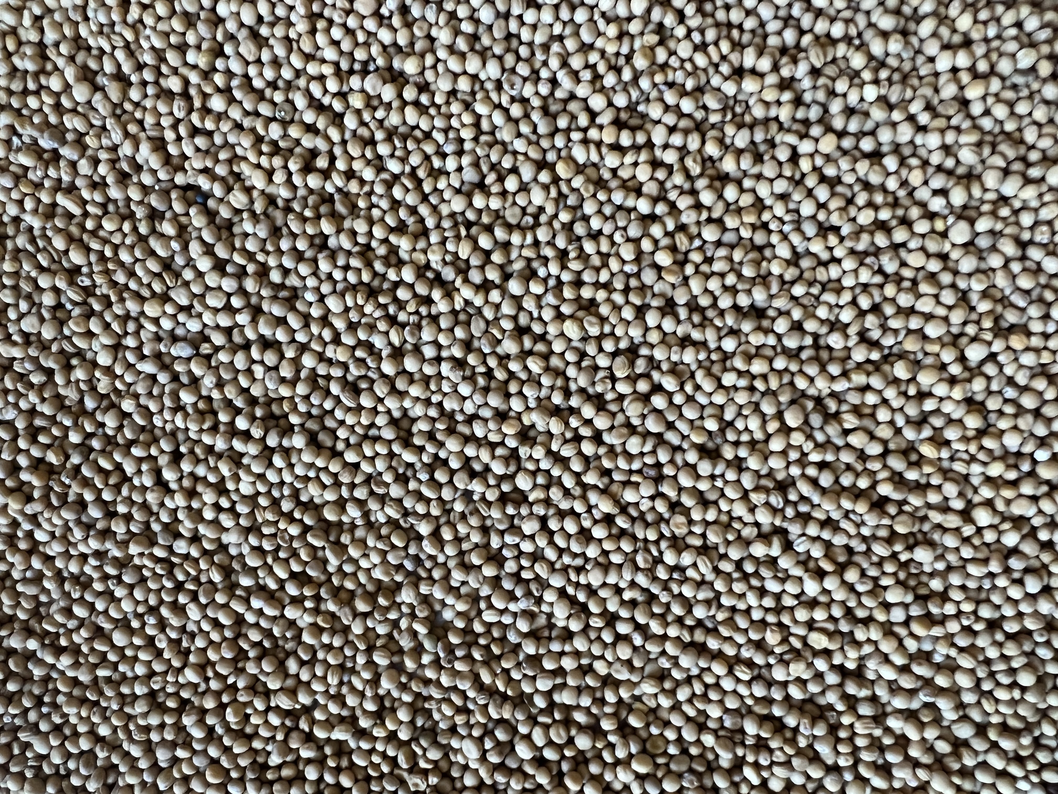 SF Sambesi Öko (25kg)